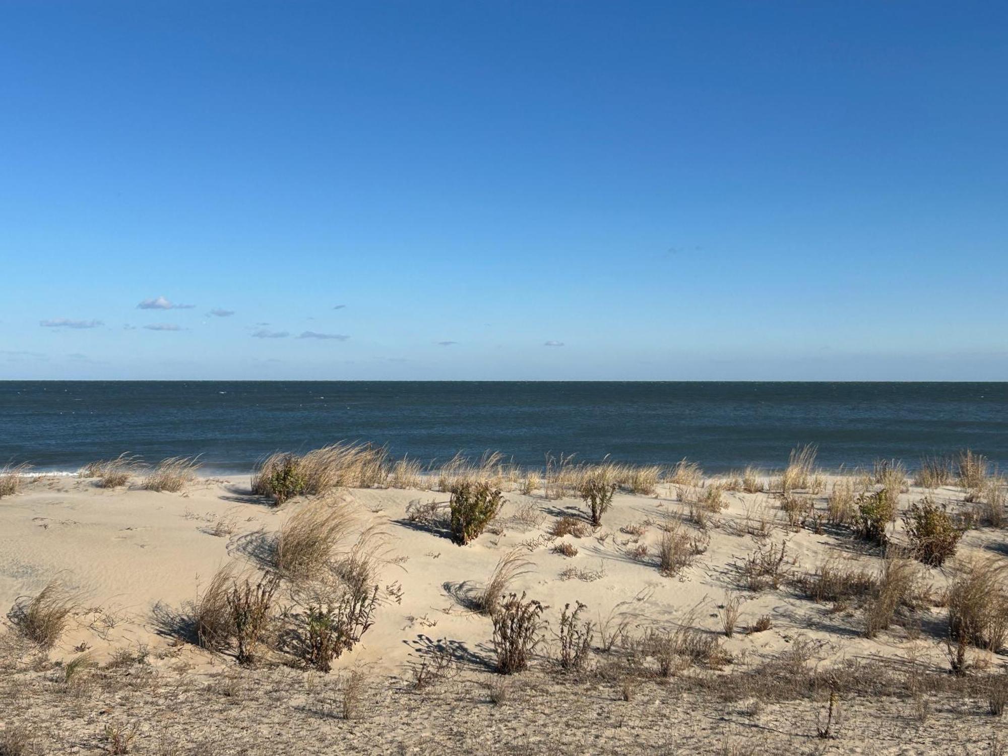 Atlantic View Dewey Beach